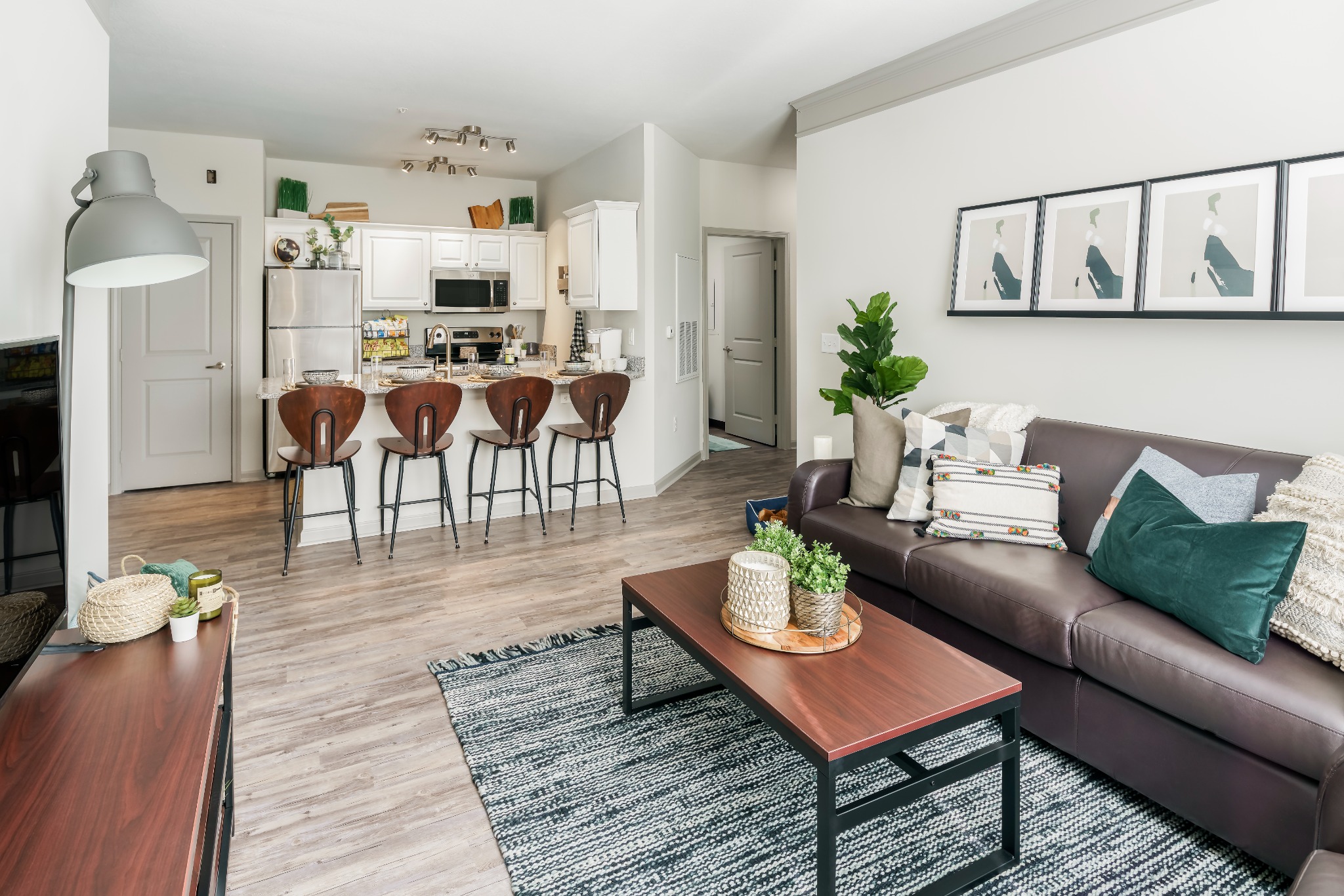 The Summit at Coates Run Facebook ad: Discover student living designed for your success with…