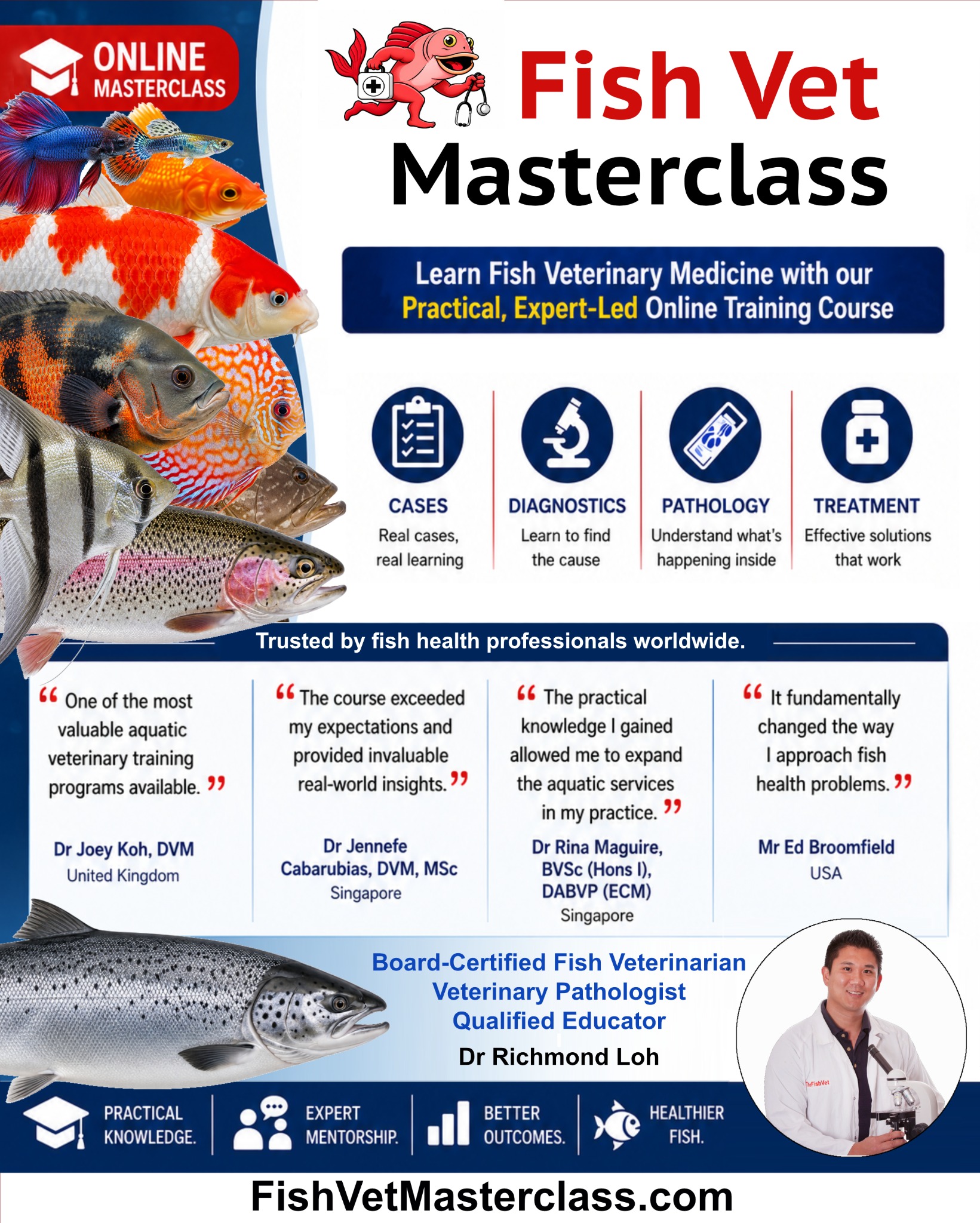 Aquarium Fish Health with Fish Veterinarian Doctor Loh Facebook ad: Online Fish Vet Masterclass