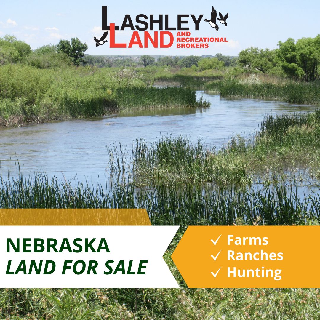 Lashley Land and Recreational Brokers Facebook ad