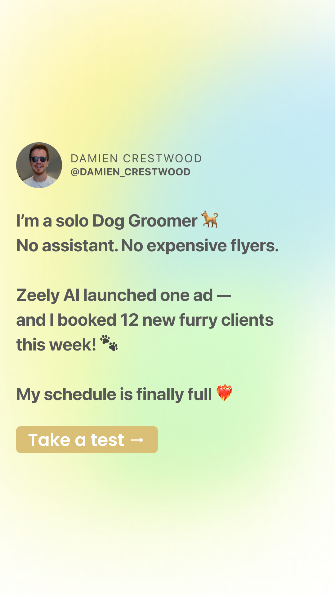 Zeely Facebook ad