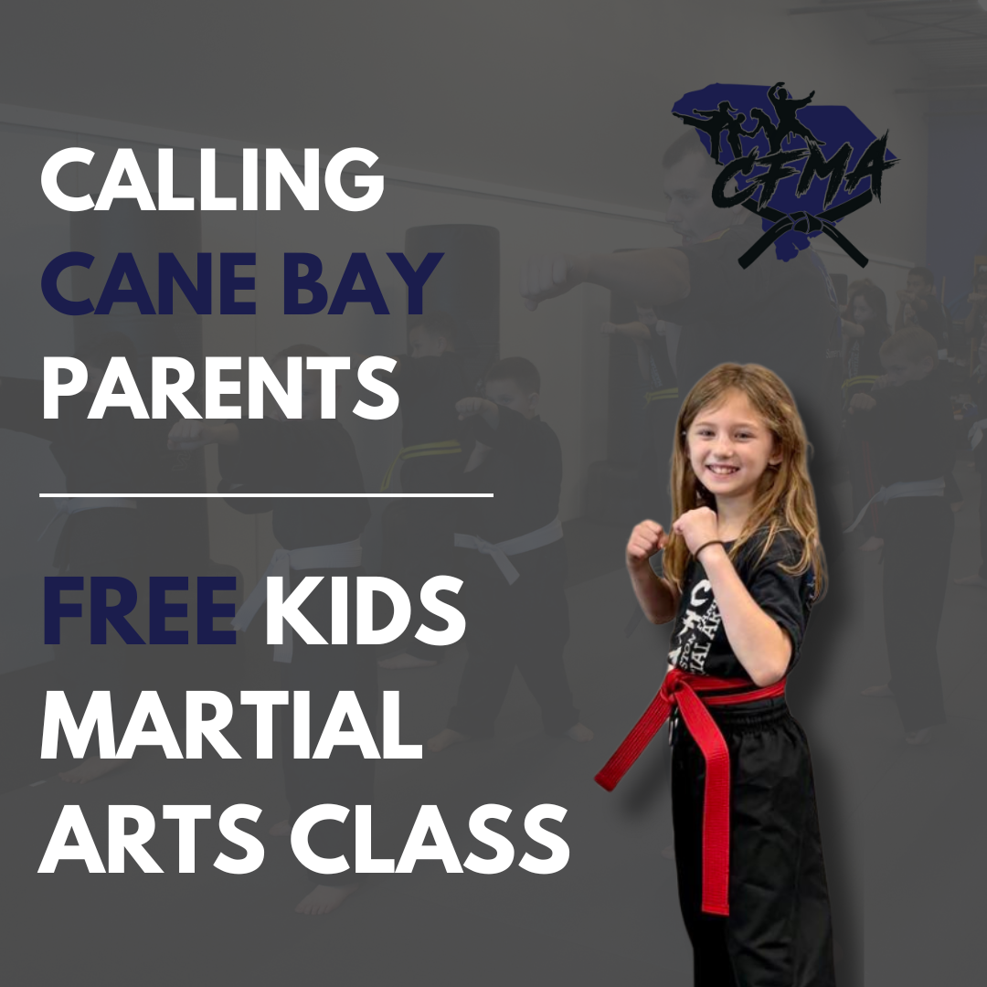 Charleston Family Martial Arts Facebook ad: Kids Martial Arts (Ages 4+) | Free Trial Pass