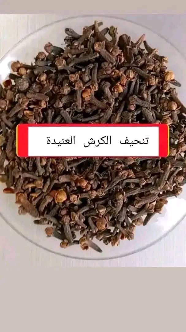 الأخصائية Lynn Bitar Facebook ad: سريييع