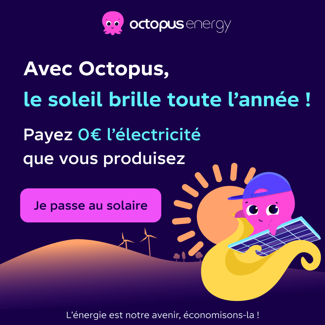 Octopus Energy Facebook ad
