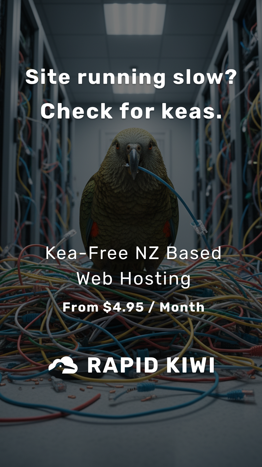 Rapid Kiwi Facebook ad