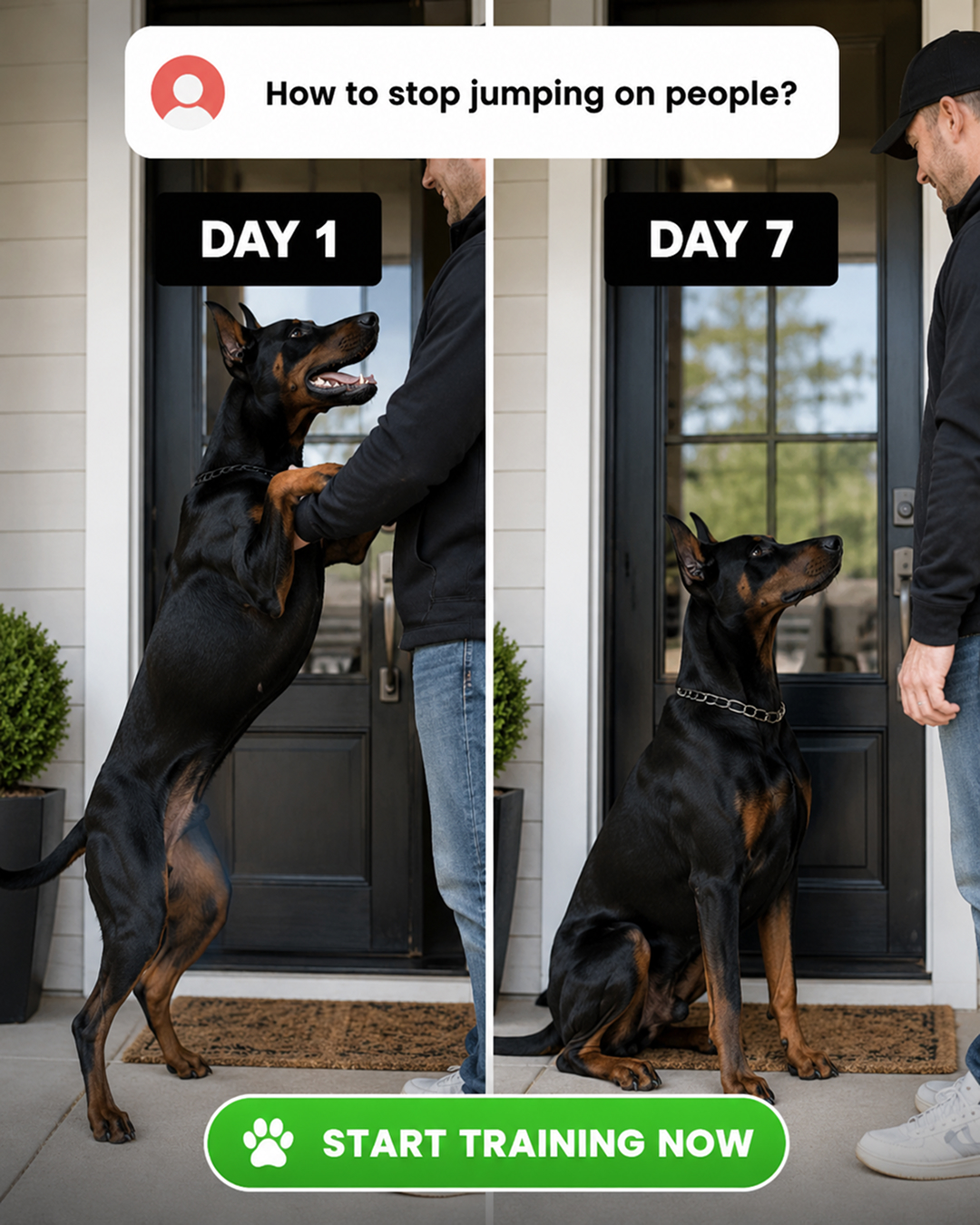 Ben Your Puppy Trainer Facebook ad