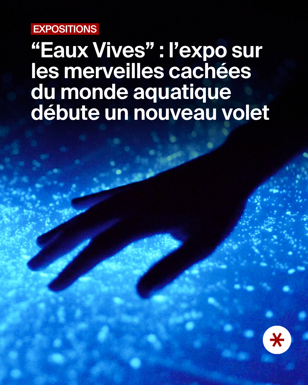 Montréal Secret Facebook ad: Eaux Vives - Montréal - Billets | Fever