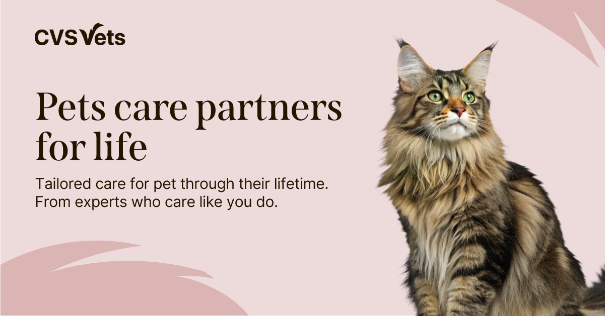 CVS Vets Facebook ad from Mar 24, 2026