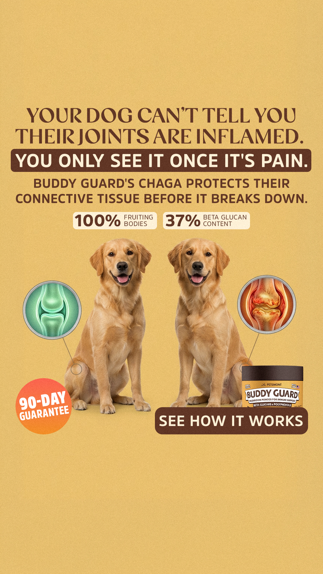 Well Pup Life Facebook ad