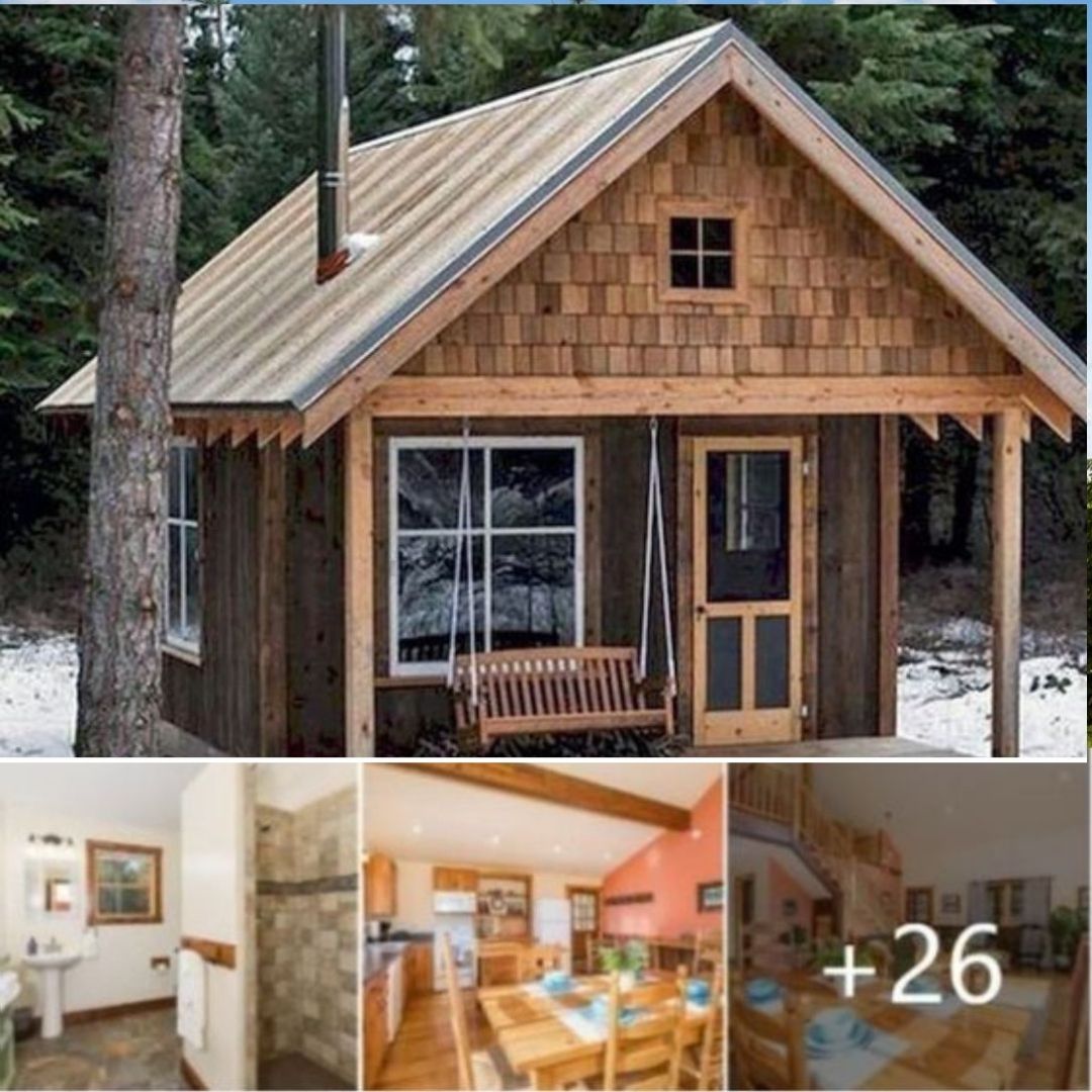 Tiny house-D Facebook ad from Mar 1, 2026