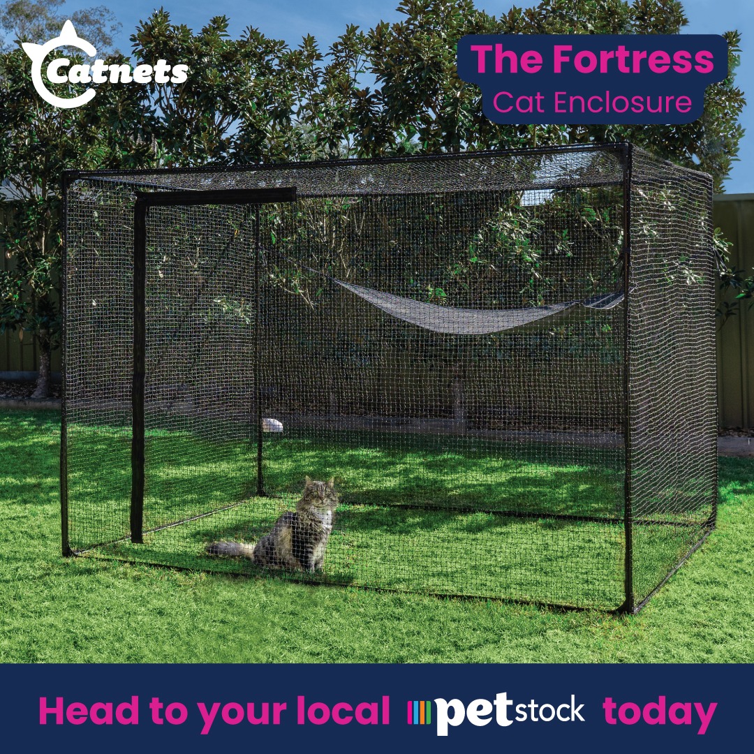 catnets.com.au Facebook ad