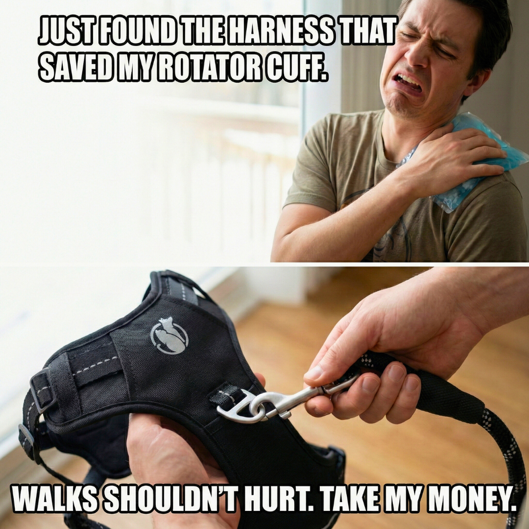 PawSafe Facebook ad