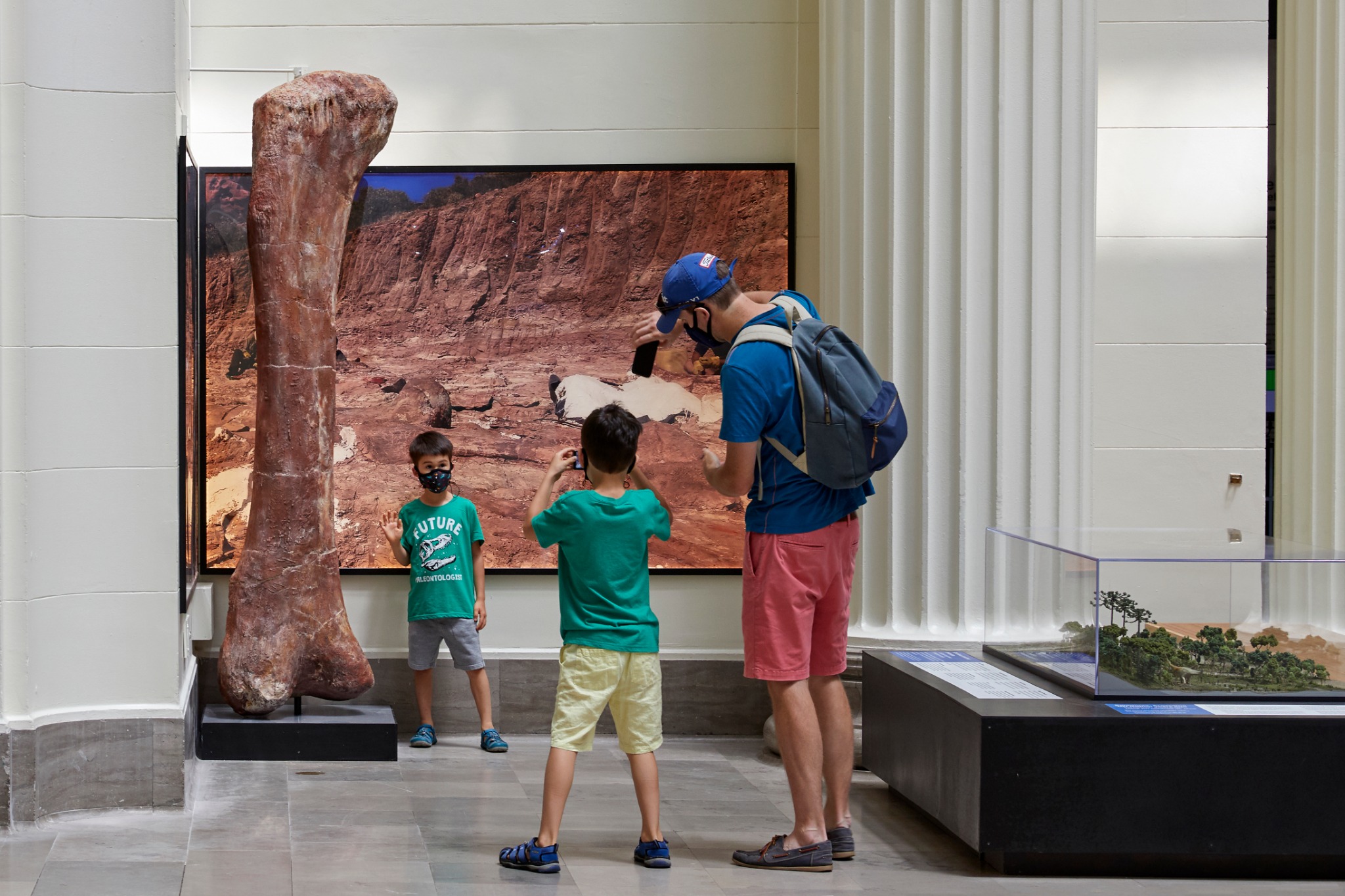 Field Museum Facebook ad