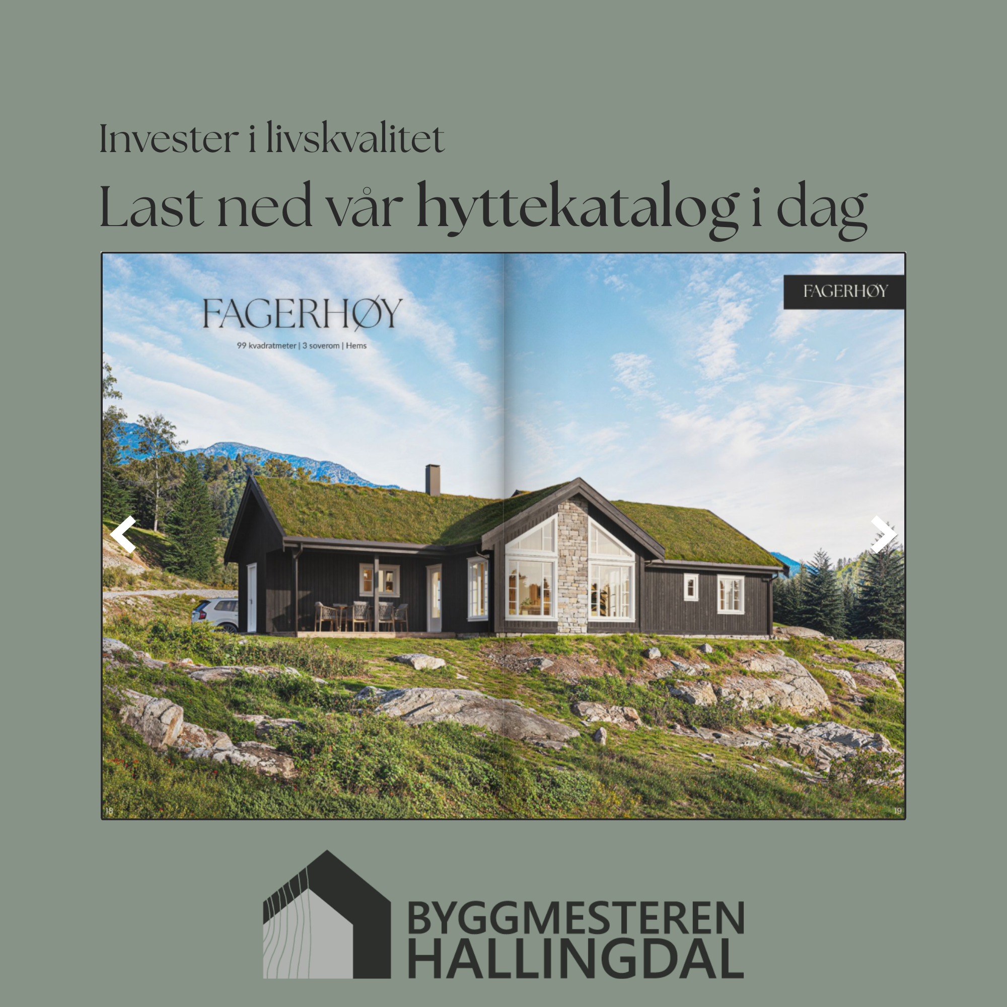 Byggmesteren Hallingdal Facebook ad: Hjem