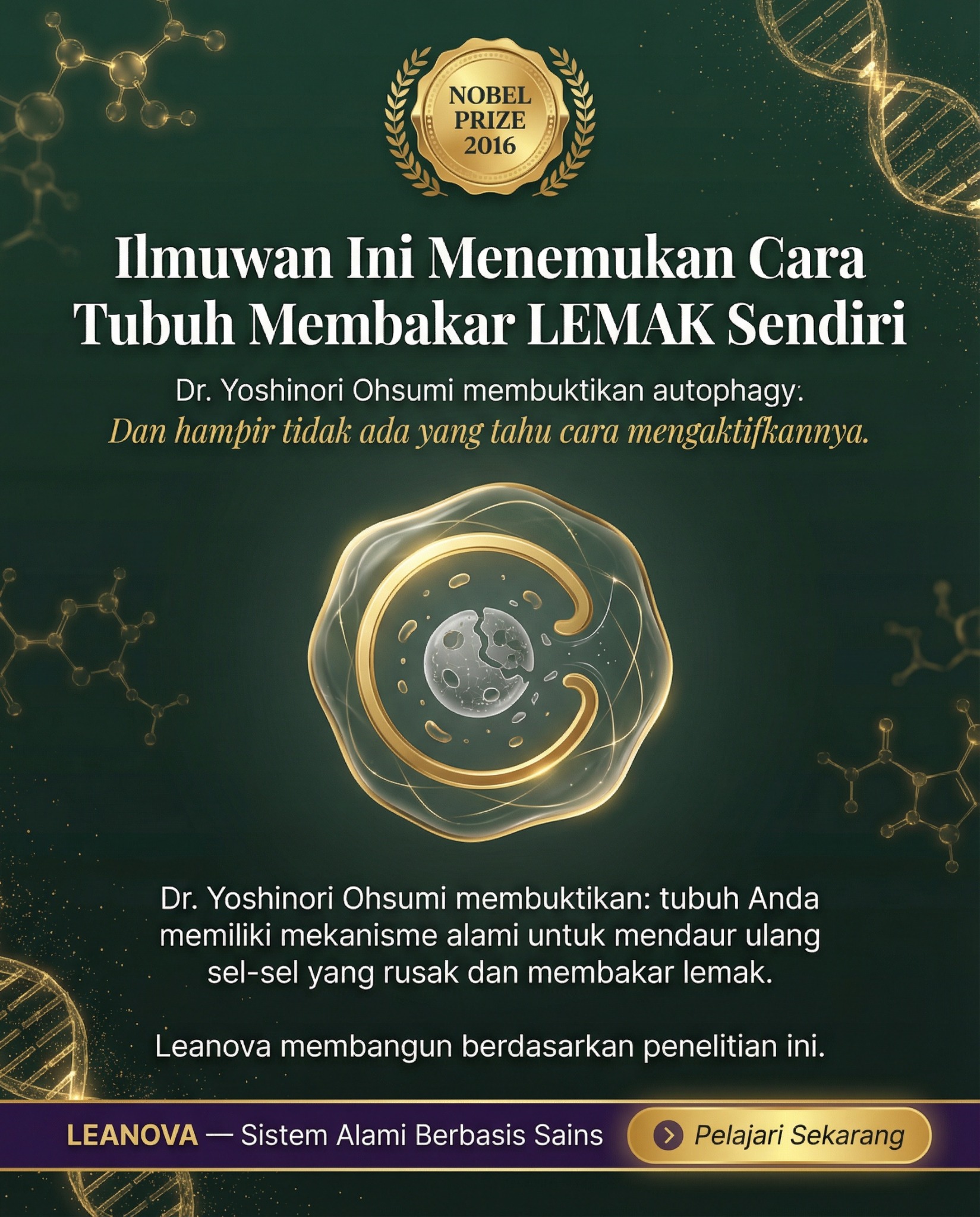 Leanova Metabolic Reset Facebook ad