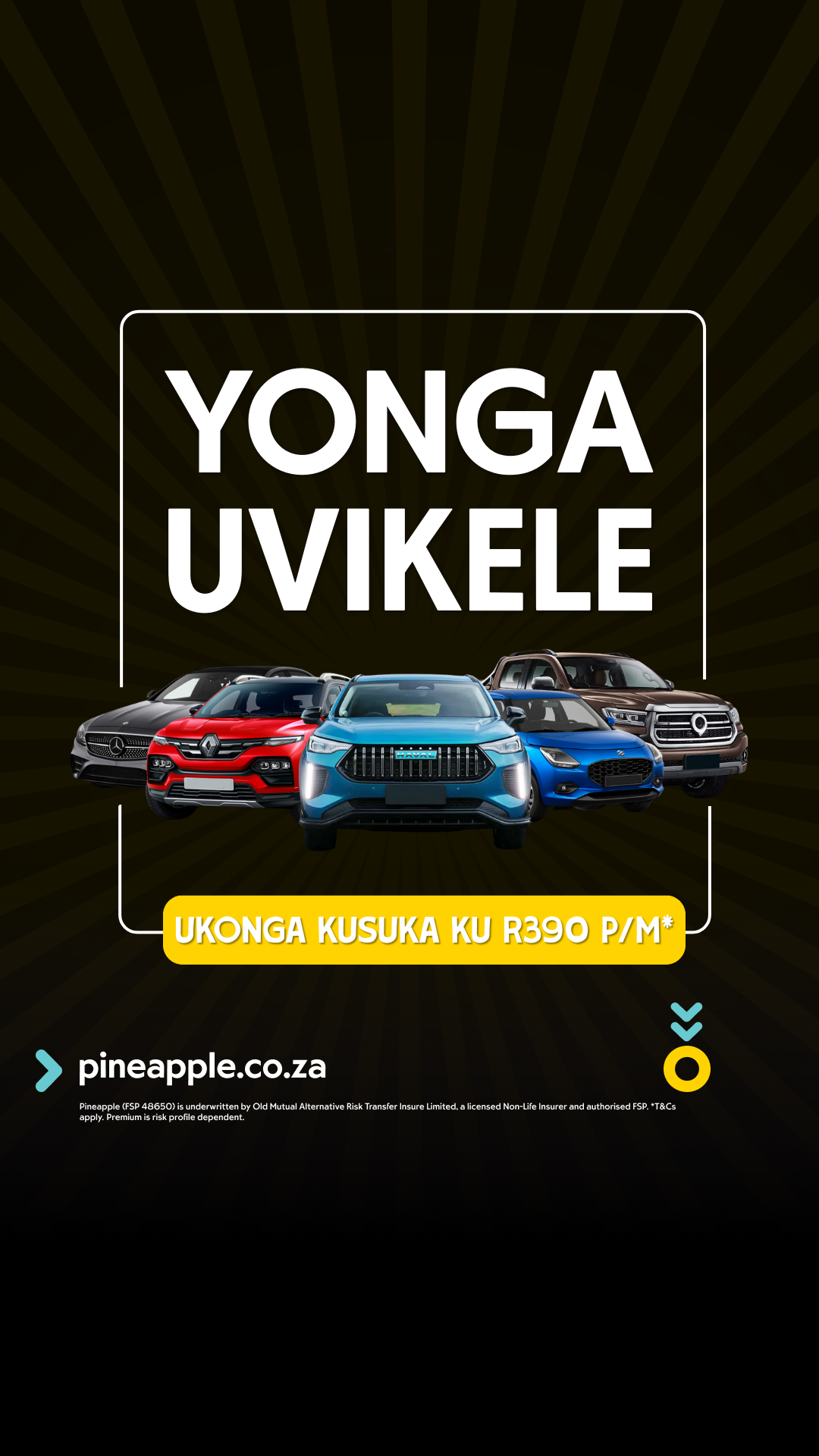 Pineapple Facebook ad