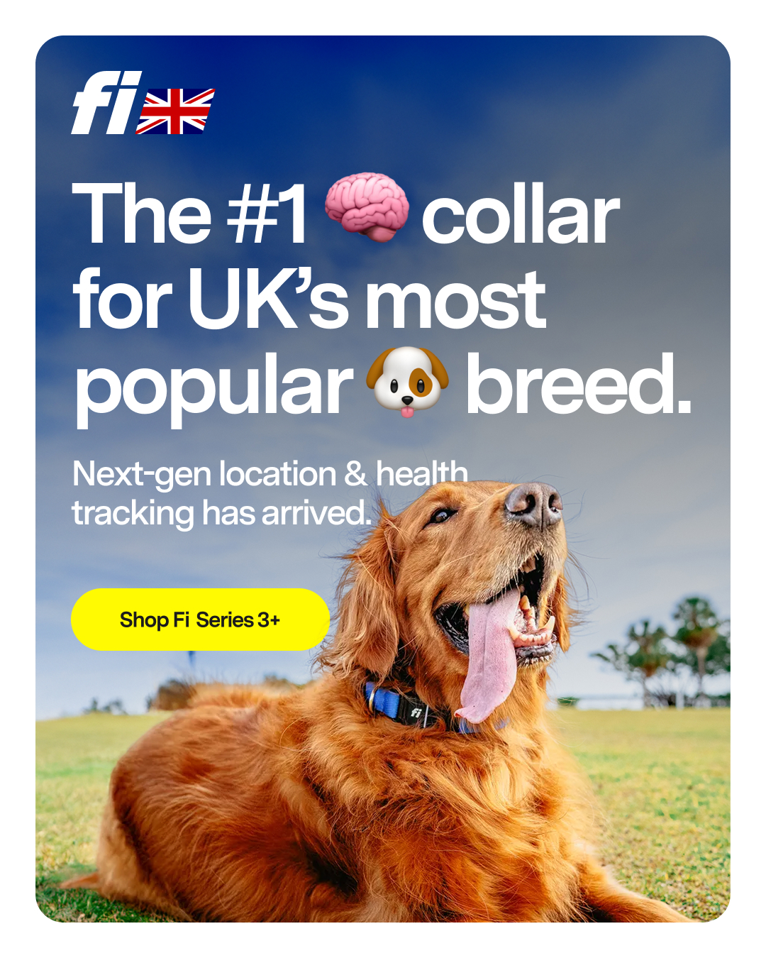 Fi Facebook ad