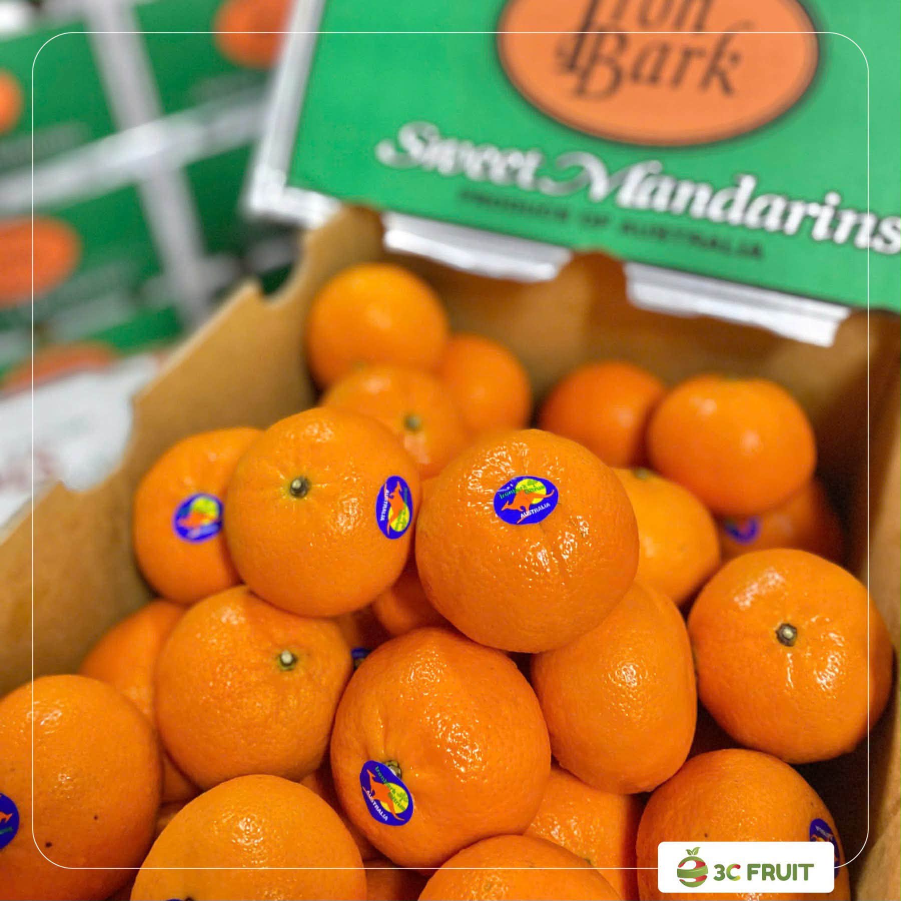3C FRUIT Facebook ad: MƯA BÃO GIÓ LẠNH, CẢ NHÀ NHỚ GIỮ…