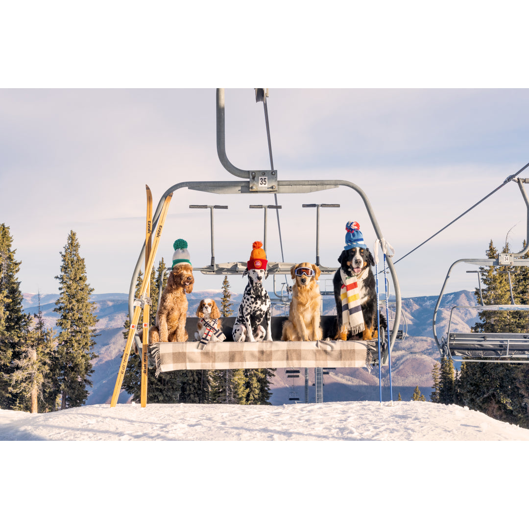 Gray Malin Facebook ad: Bring your favorite vacation home Explore bestselling fine…