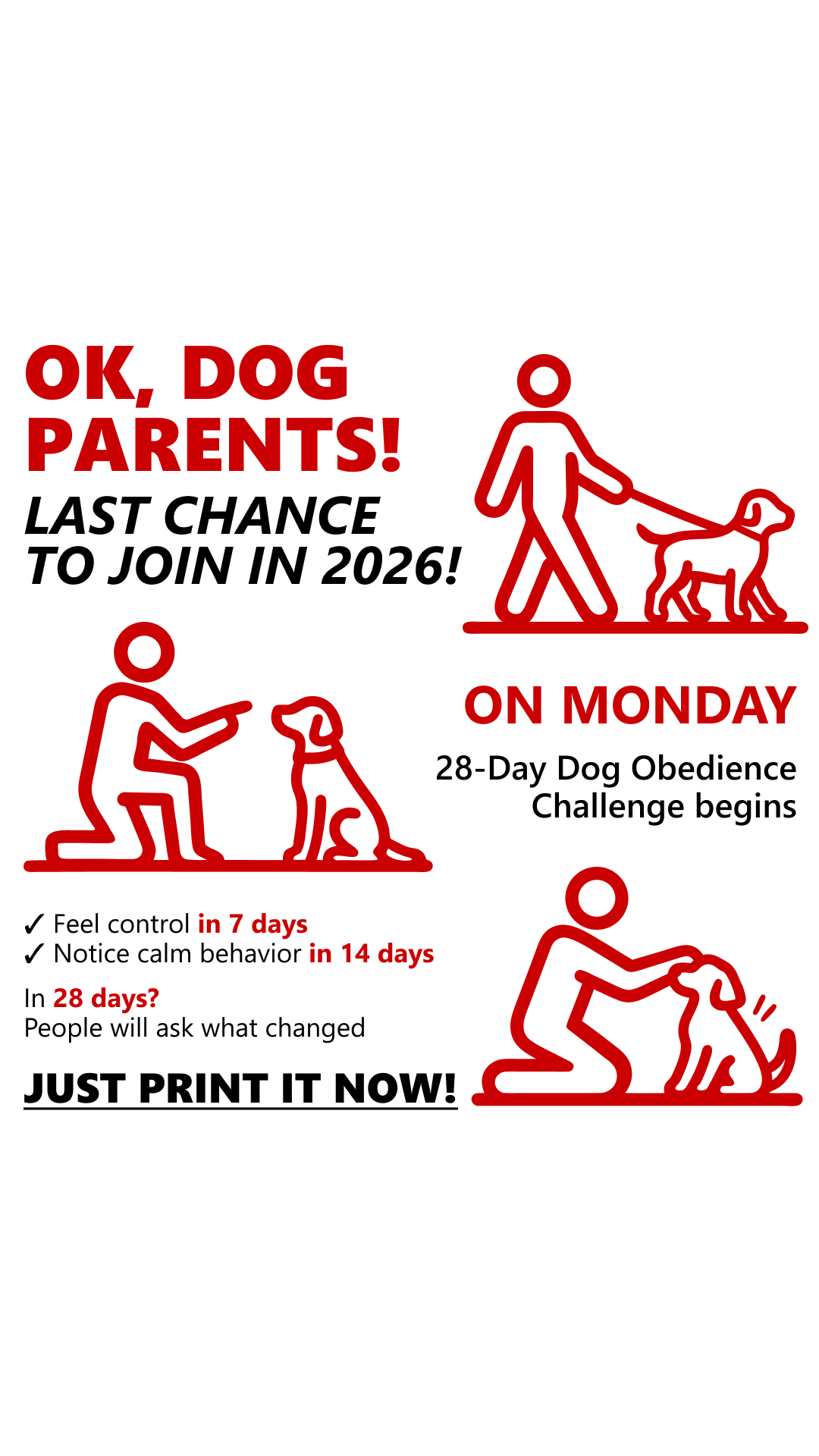 28 Day Dog Obedience Challenge Facebook ad