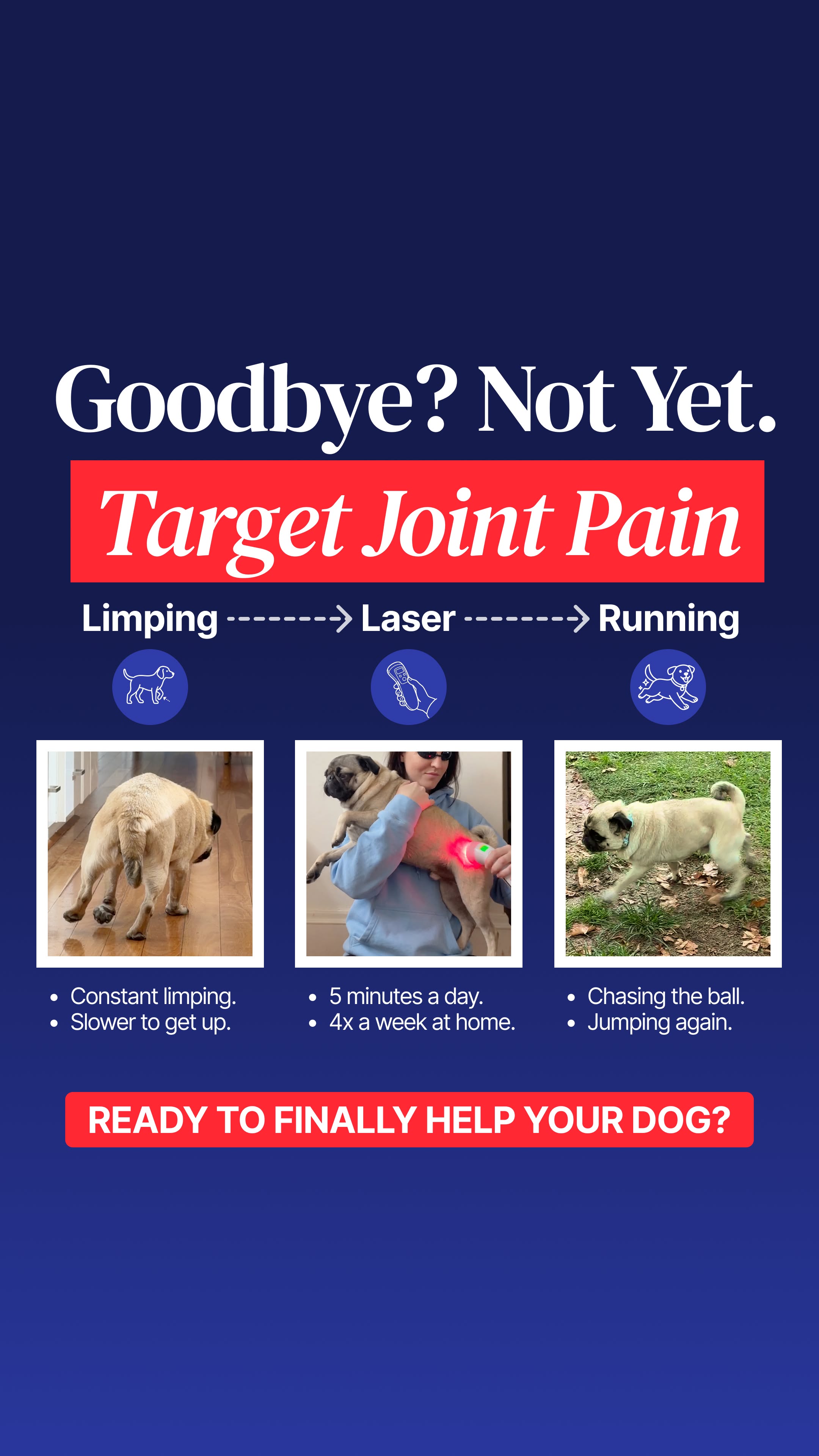Helio Pet Facebook ad