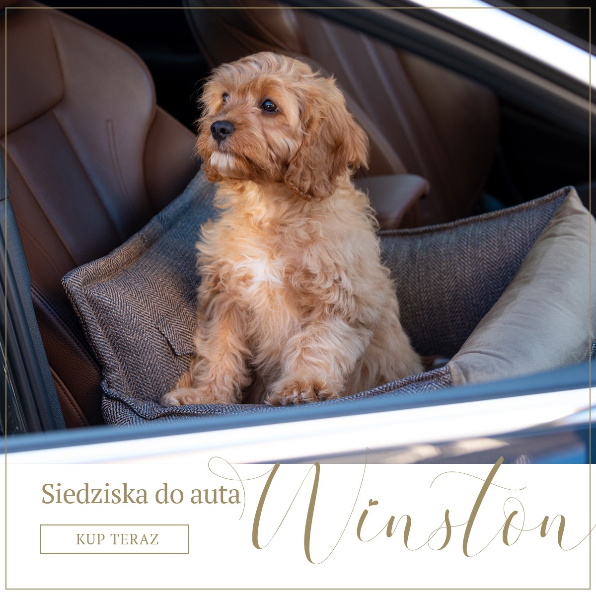 Oh Charlie - luxury pet accessories Facebook ad