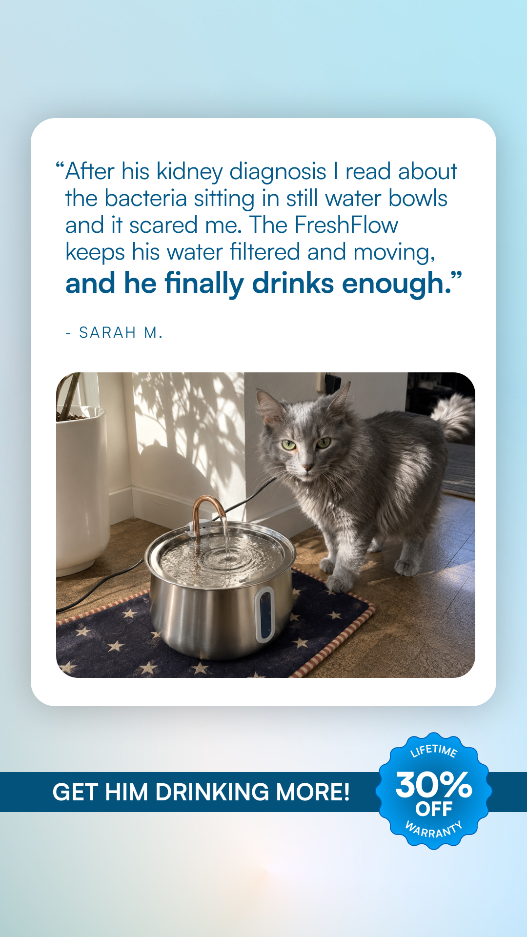 Rhykin Pet Co Facebook ad