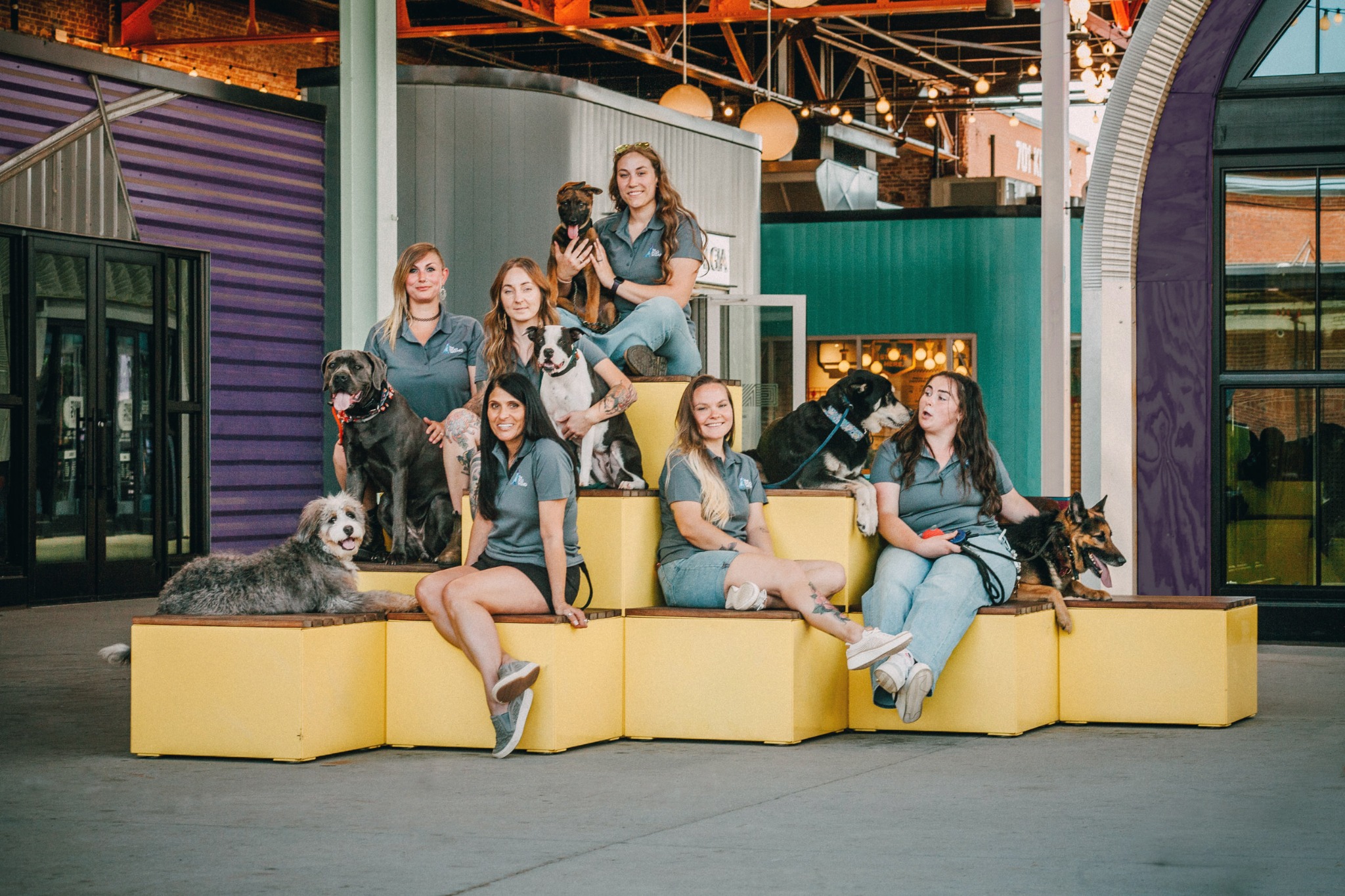 Charlotte Dog Wizard Facebook ad
