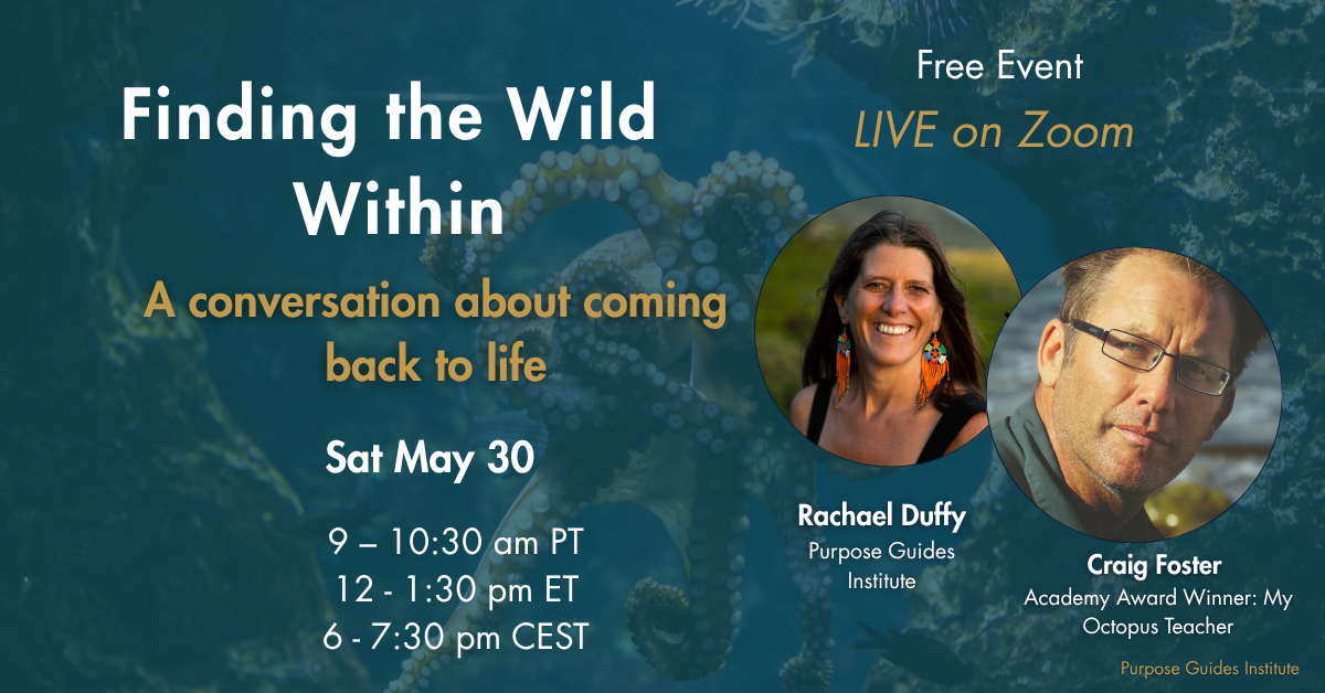Purpose Guides Institute Facebook ad: Finding the Wild Within