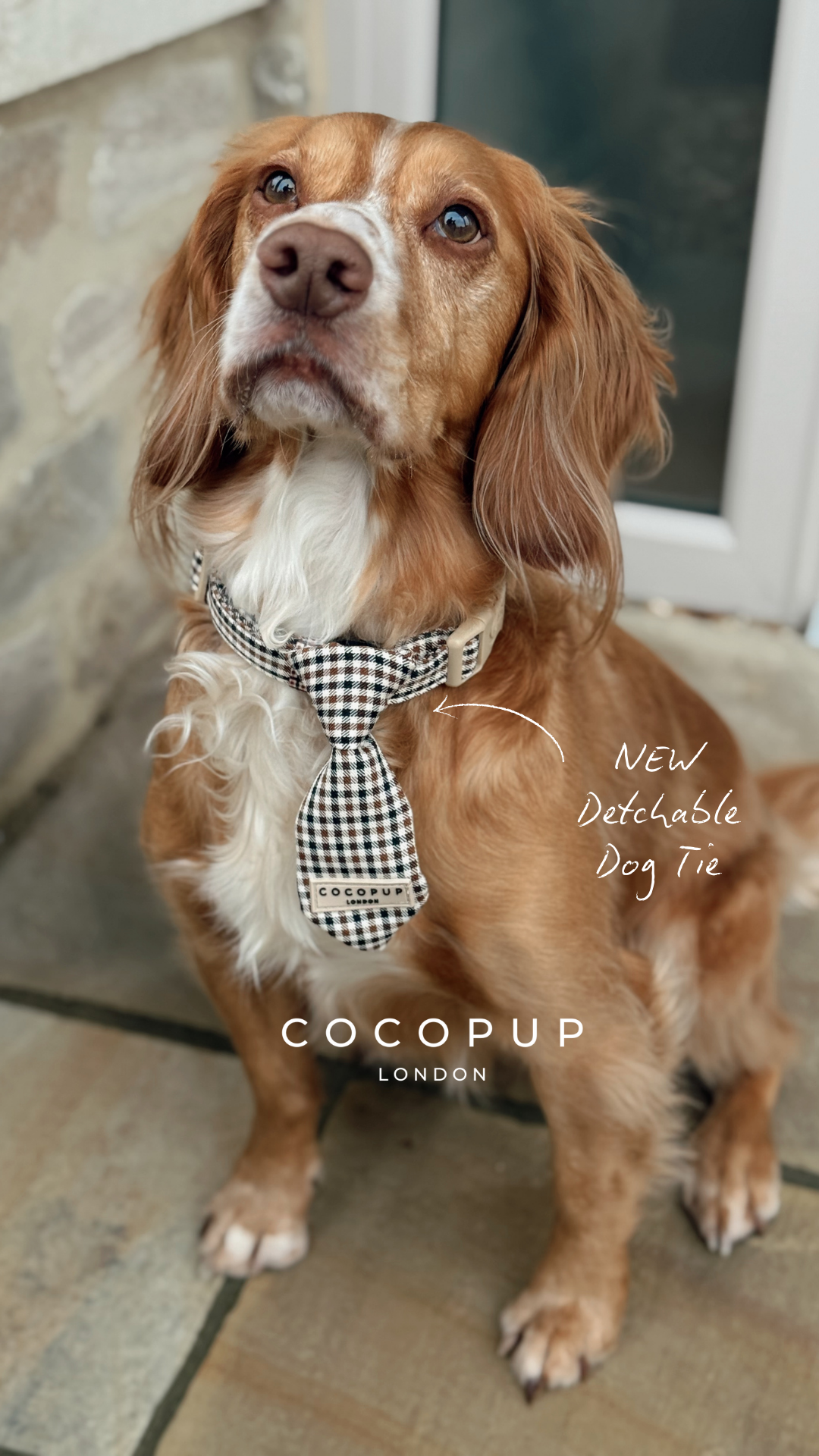Cocopupuk Facebook ad