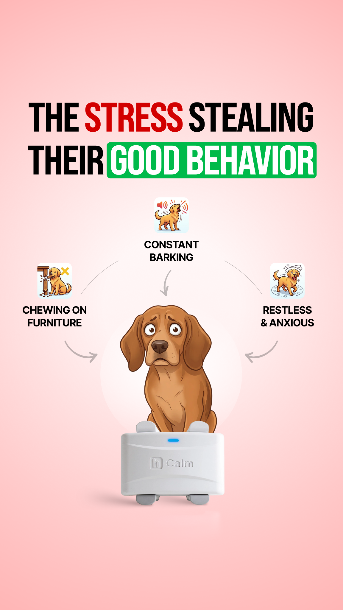 Helio Pet Facebook ad