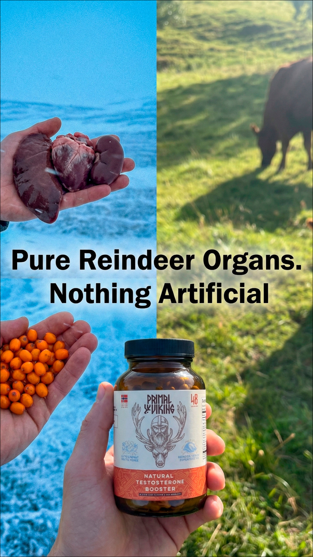 Primal Viking Facebook ad