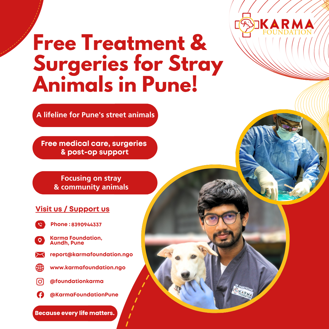 Karma Rescue Foundation Facebook ad