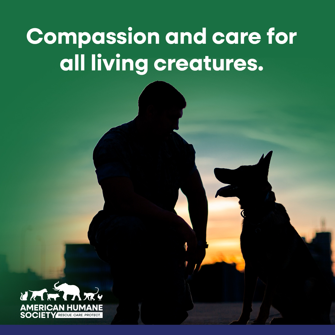 American Humane Facebook ad: Join our tradition of care