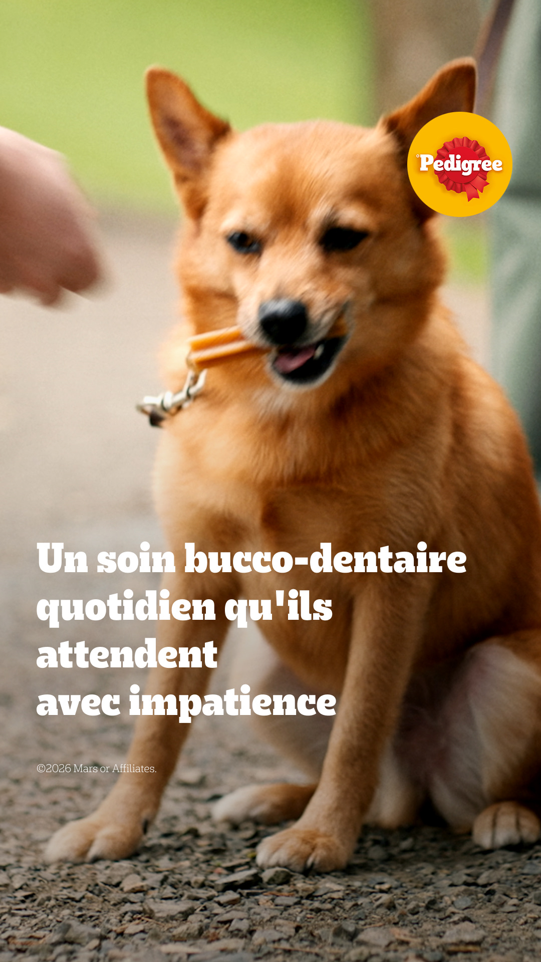 Pedigree France Facebook ad: Aidez-le à combattre les problèmes de bouche qui fait la…