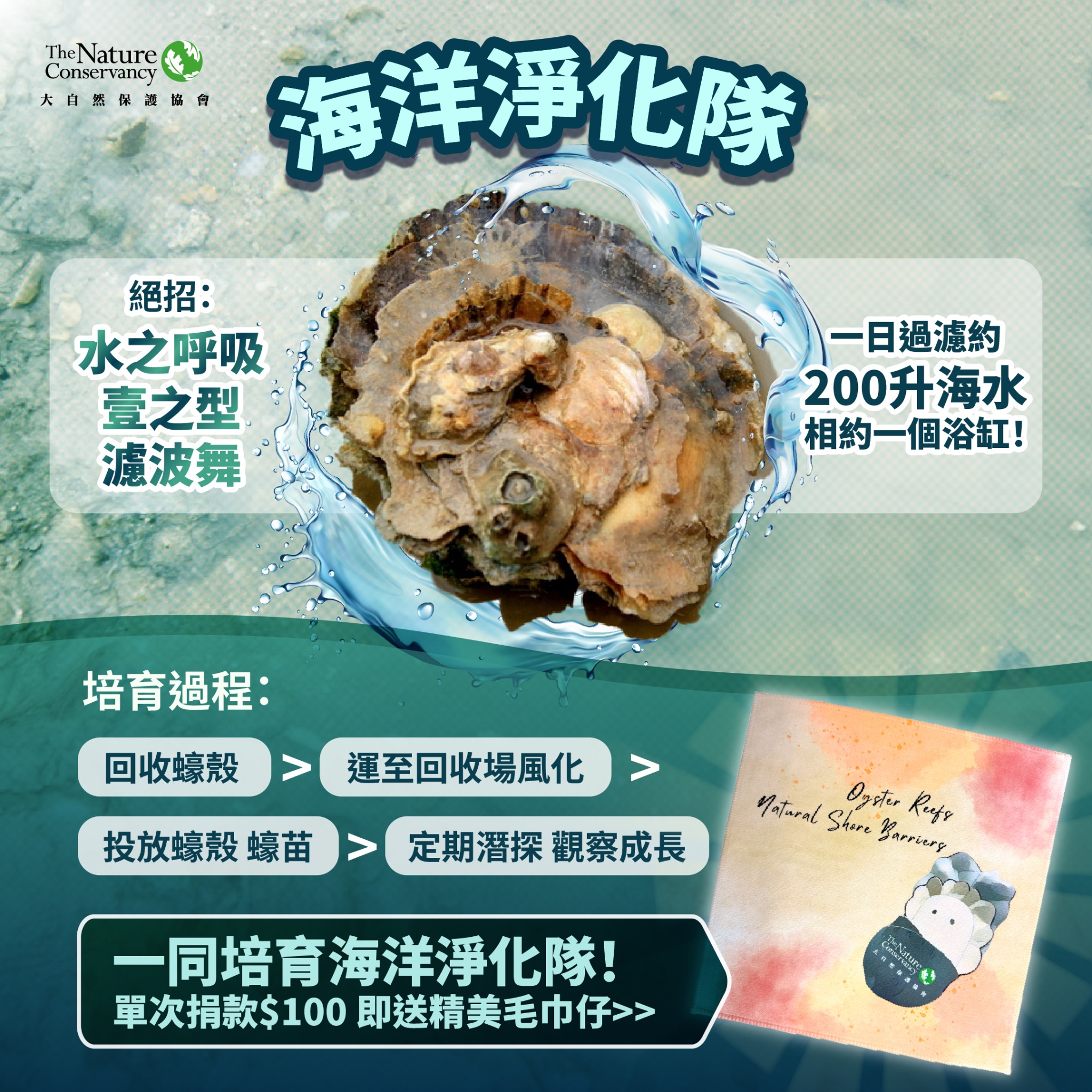 TNC HK 大自然保護協會 Facebook ad: 捐款支持修復香港蠔礁
