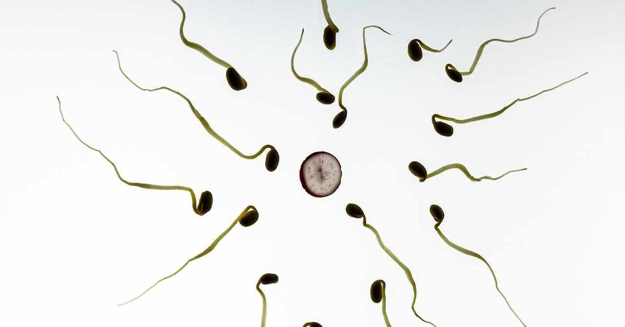 Ovulation Test Kit Shop Facebook ad: আপনারা কি শীগ্রই মা বাবা হতে চাচ্ছেন?