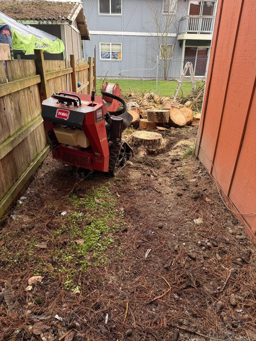 Whidbey Stump Removal LLC Facebook ad: Whidbey Stump Removal specializes in fast, clean stump…