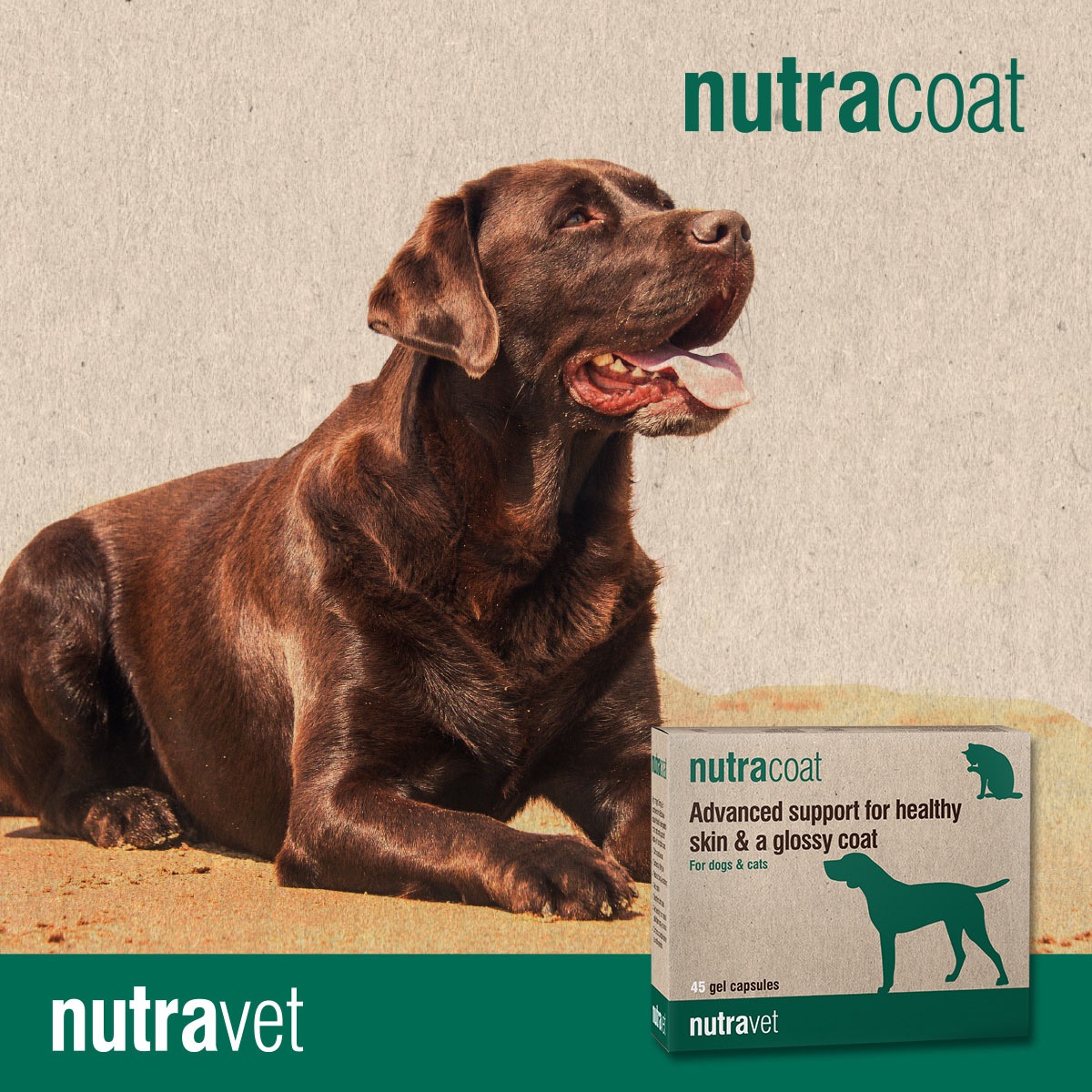 Nutravet Facebook ad