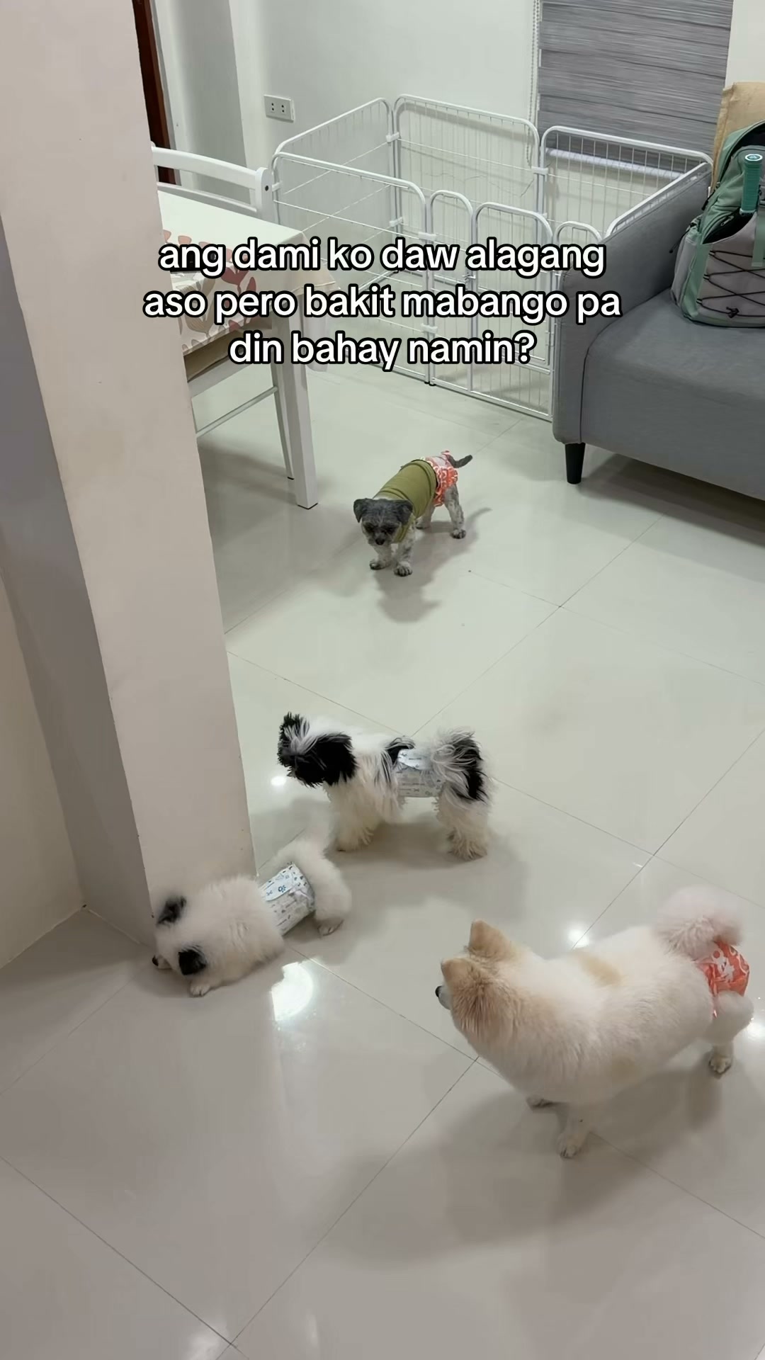 Shopee Facebook ad: https://s.shopee.ph/9fJMv6ndJO