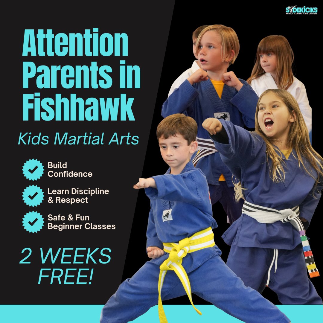 Sidekicks Family Martial Arts Center Facebook ad