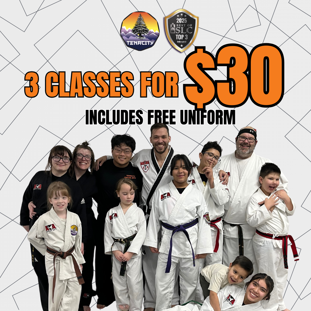 Tenacity Martial Arts Facebook ad from Mar 4, 2026