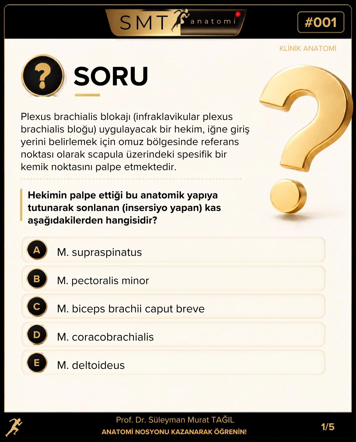 SMTanatomi Facebook ad: Tam TUS formatında, eleyici bir anatomi sorusu!