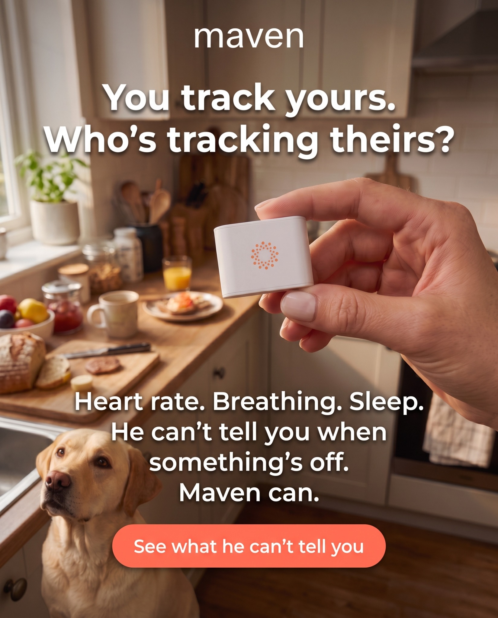 Maven Pet Facebook ad
