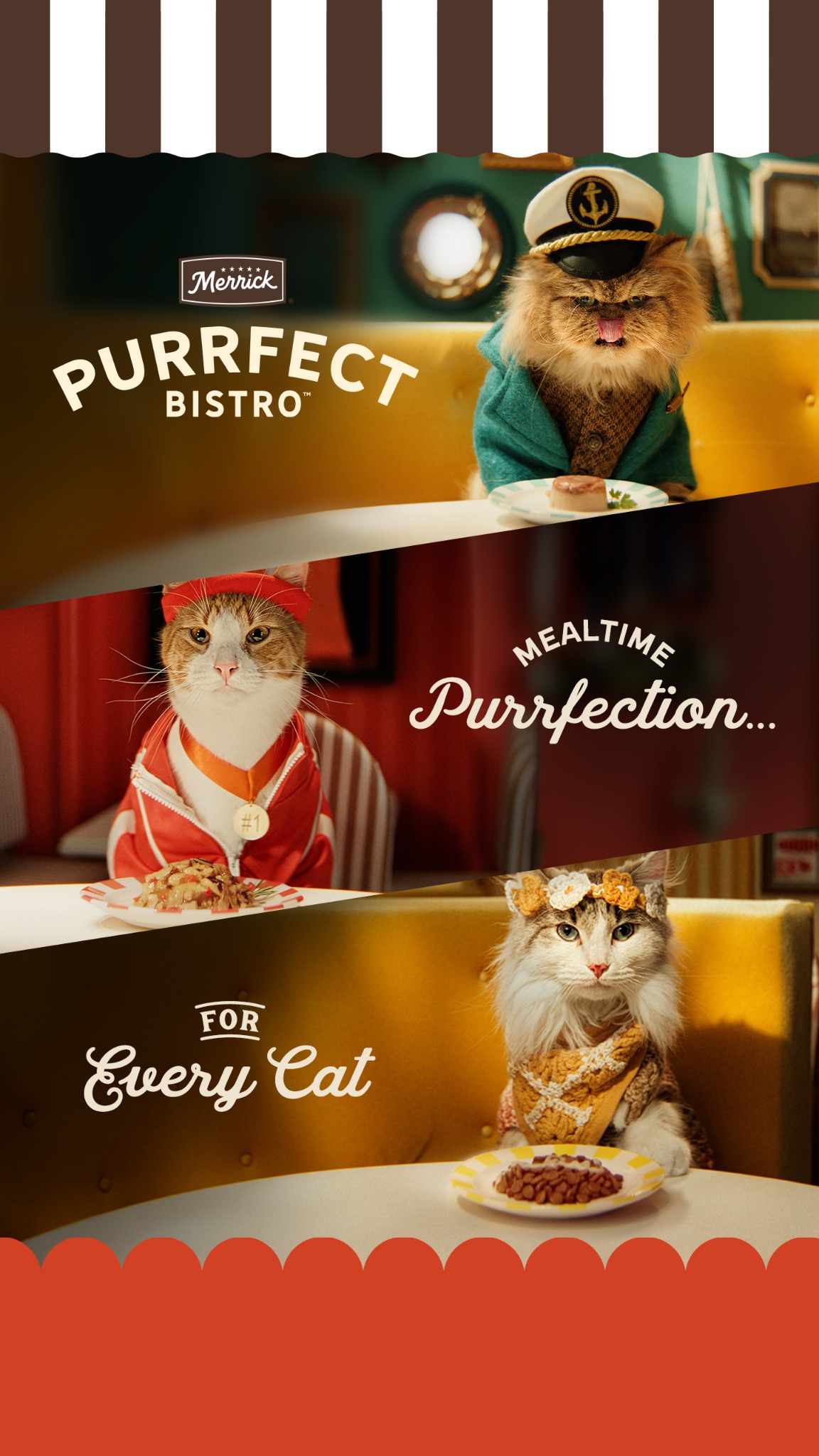 Merrick Pet Care Canada Facebook ad