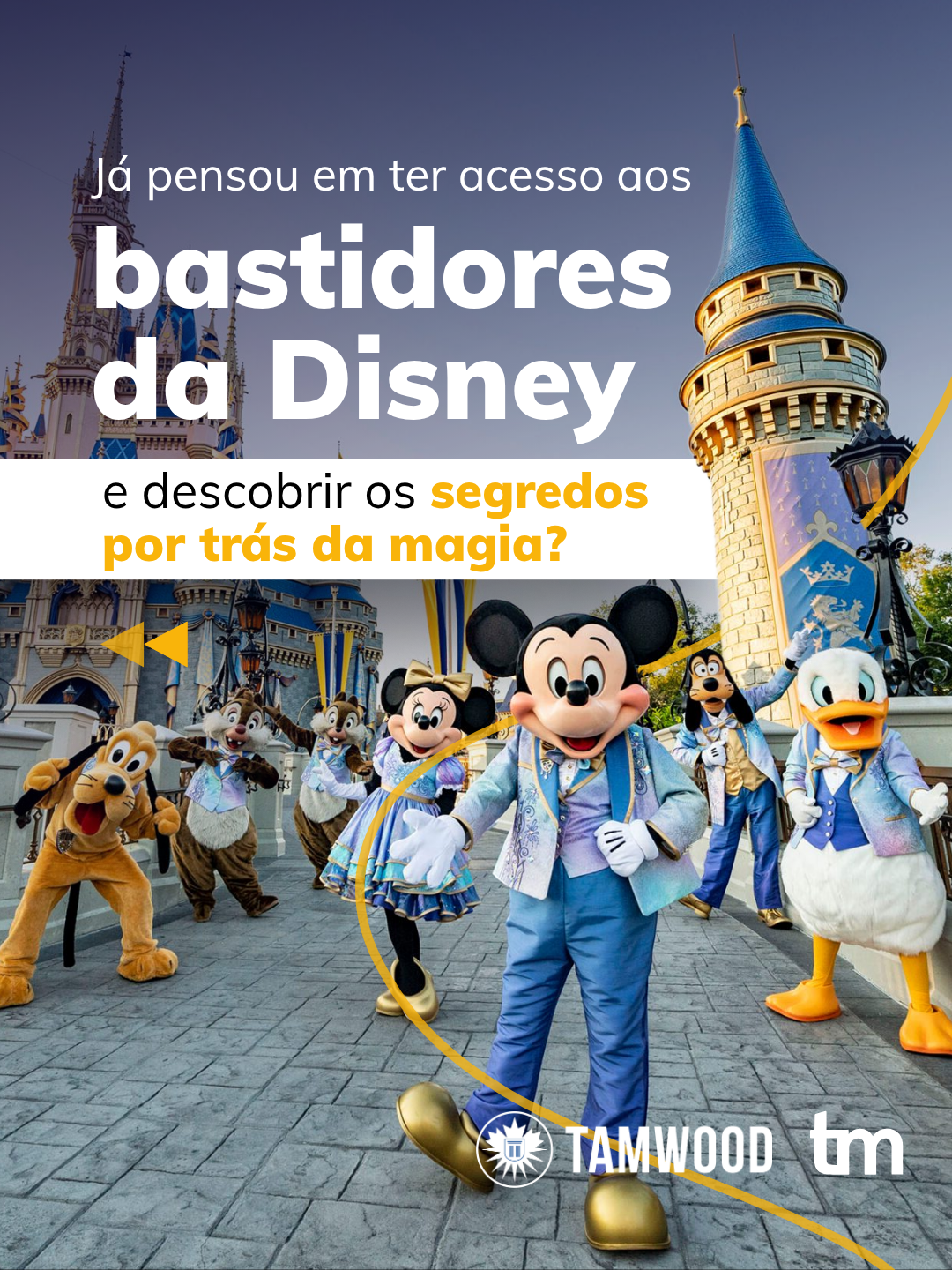 TravelMate Intercâmbio Facebook ad: E aí, mate, tá pronto pra viver o…