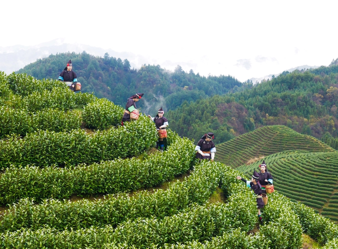 Guizhou, China Facebook ad