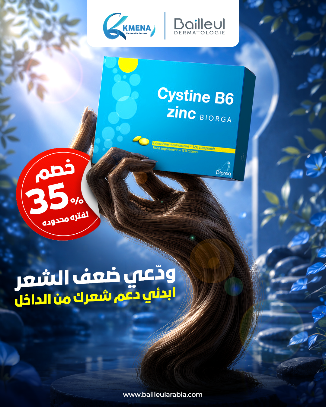 Bailleul.SA Facebook ad