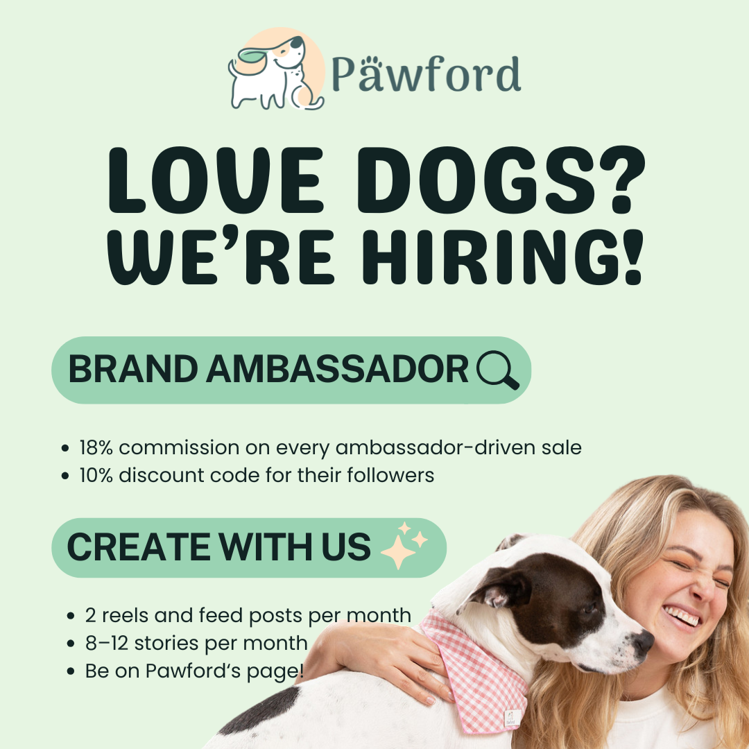Pawford Facebook ad: Your Dog Deserves the Spotlight
