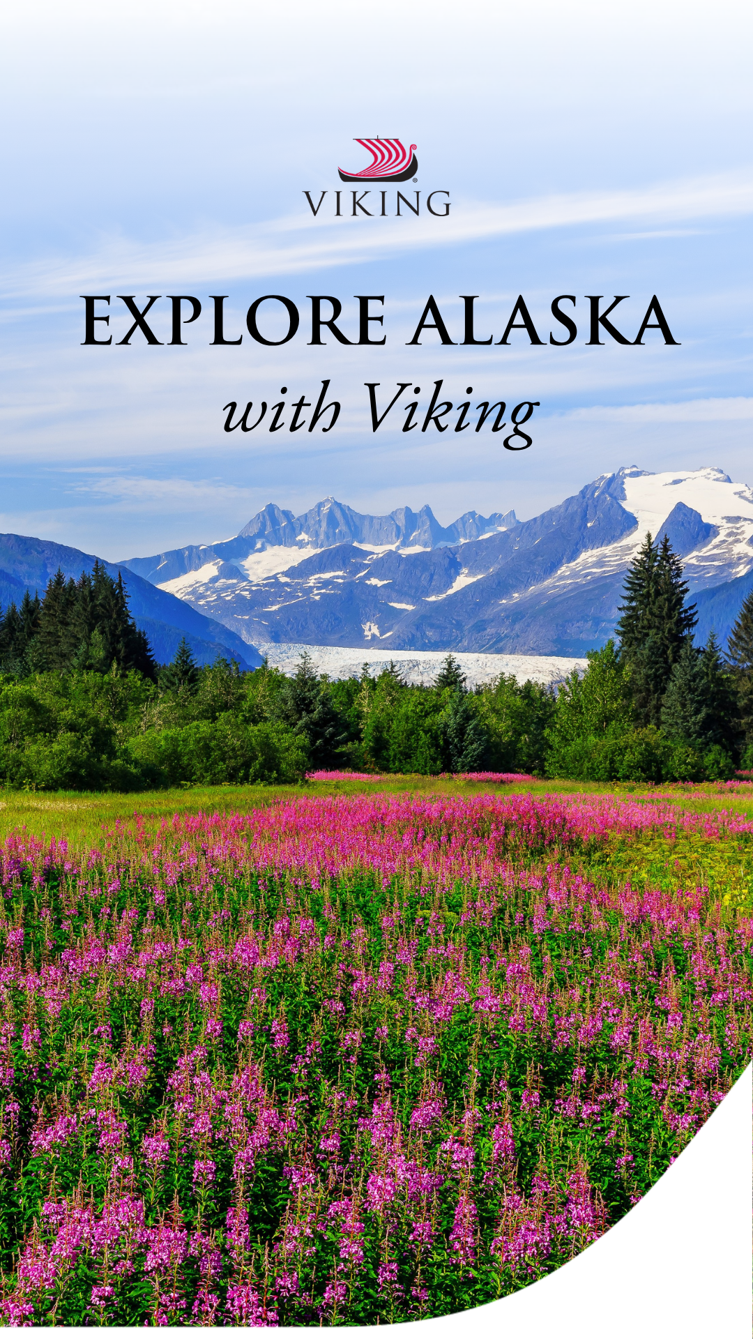 Viking Facebook ad