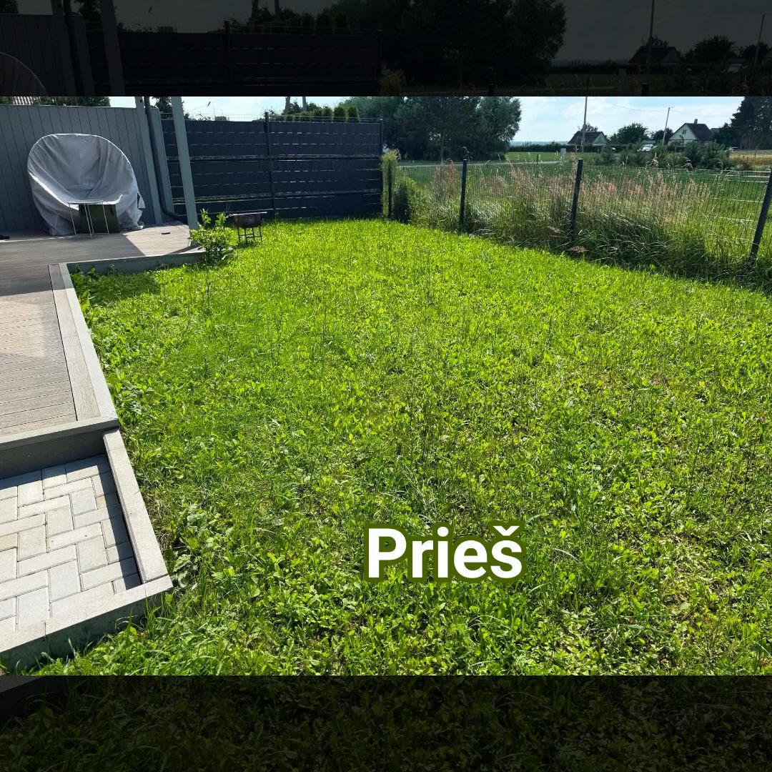 Hortus apželdinimas Facebook ad: Ruloninės ir sėjamos vejos įrengimas.
